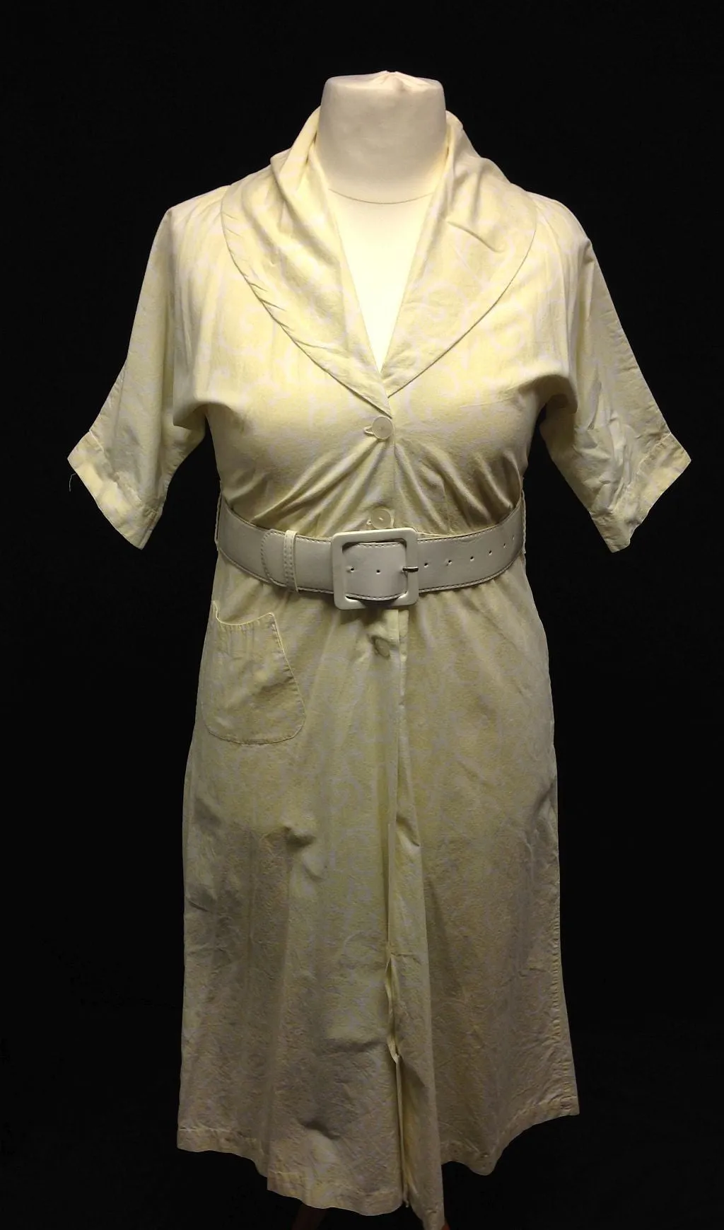 1950s Day Dress
