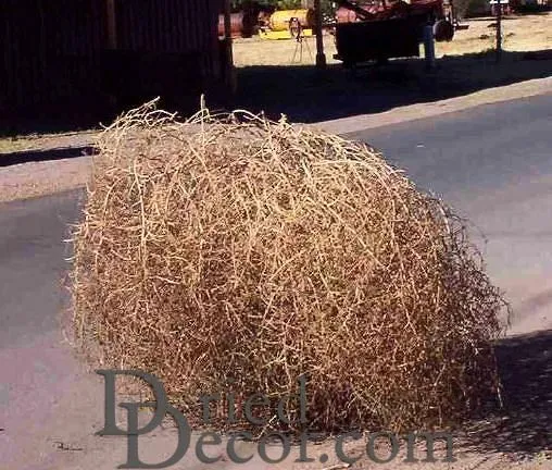 Large Country Tumbleweed