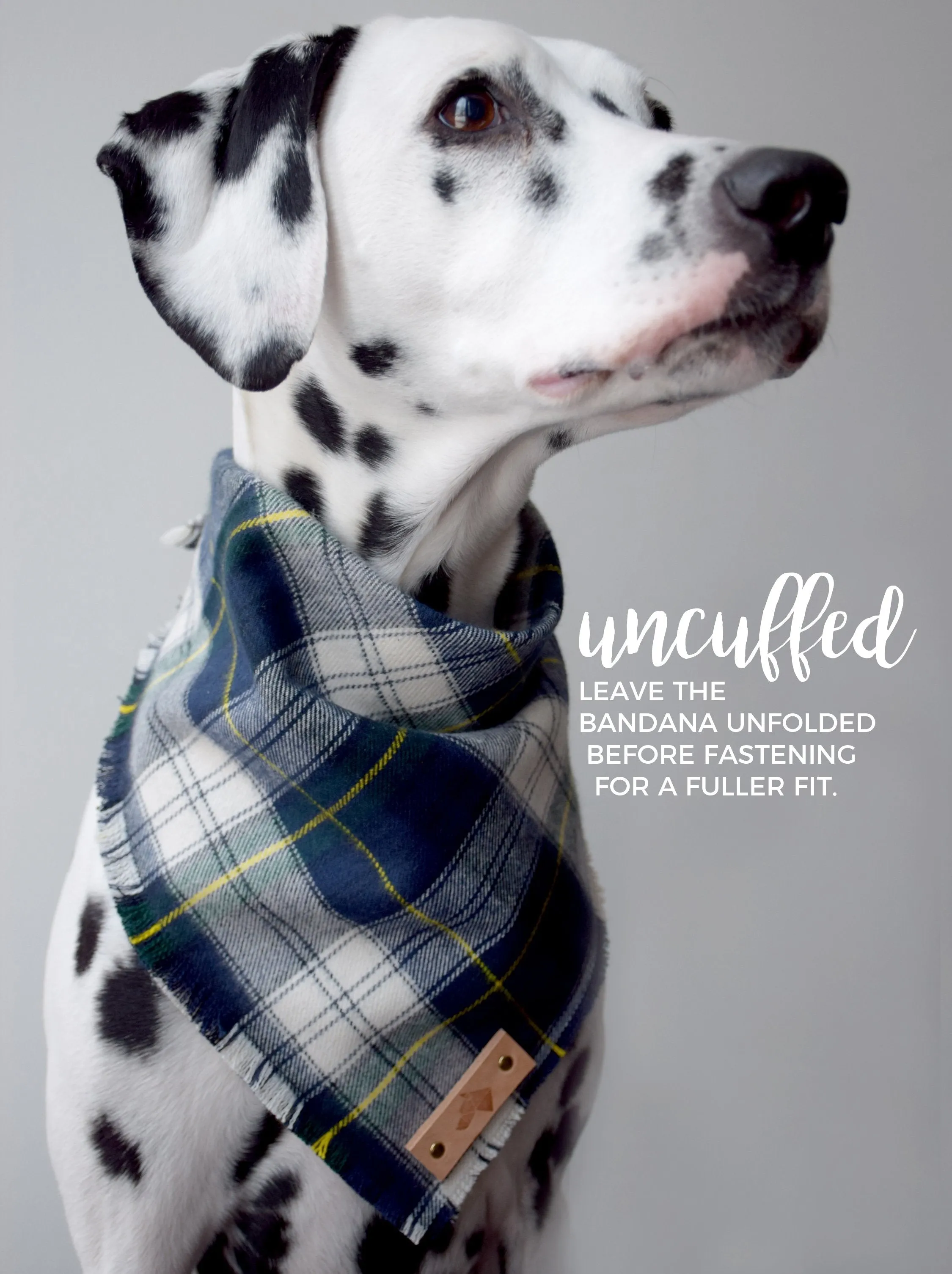 MOSS Fringed Flannel Dog Bandana - Snap/Tie On Cotton Scarf