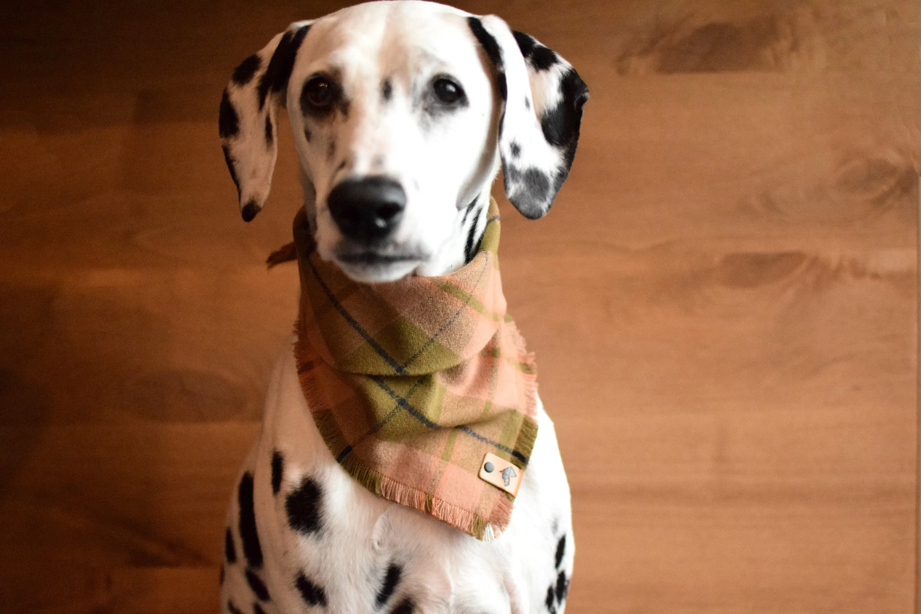 MOSS Fringed Flannel Dog Bandana - Snap/Tie On Cotton Scarf