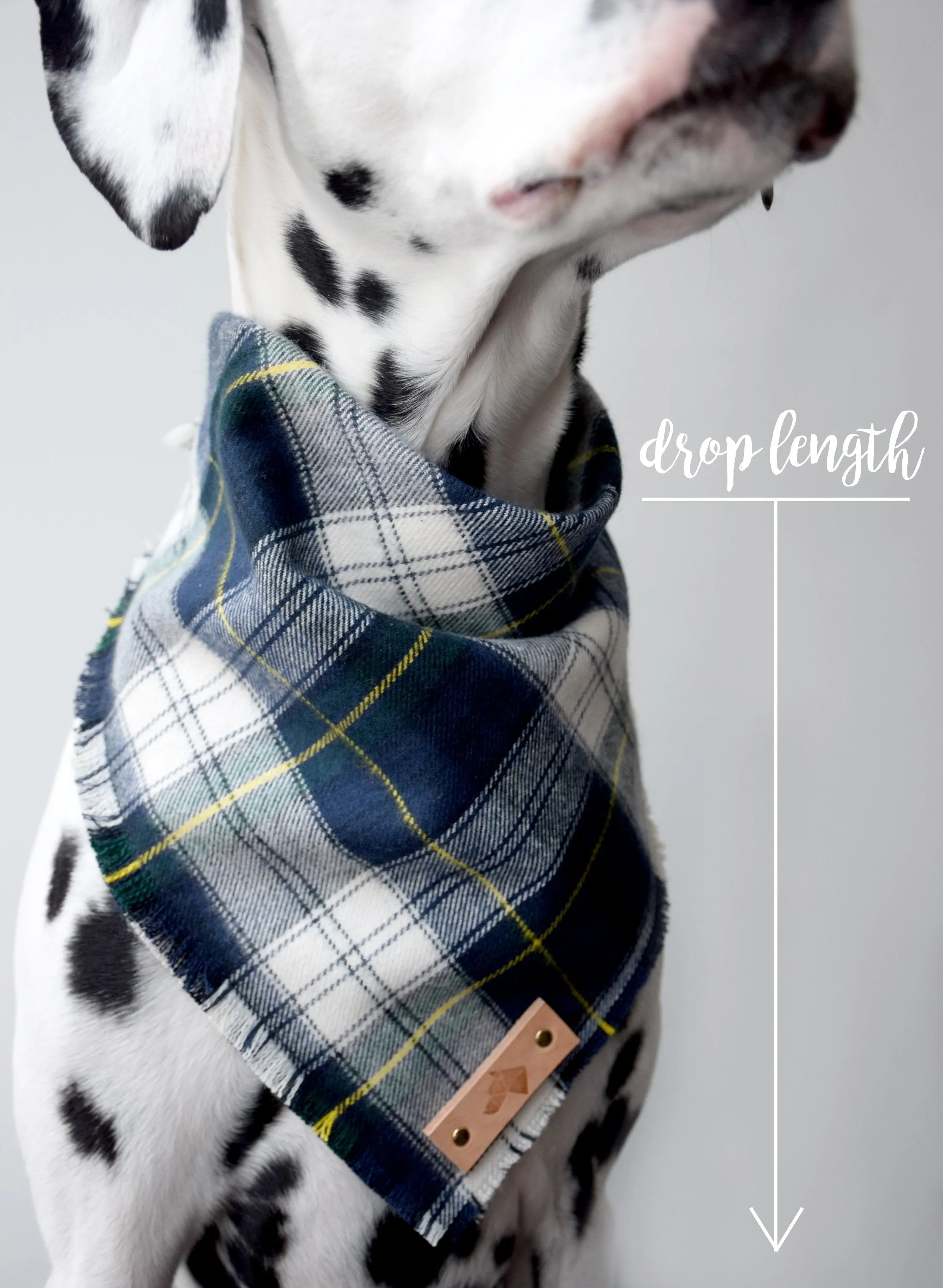 MOSS Fringed Flannel Dog Bandana - Snap/Tie On Cotton Scarf