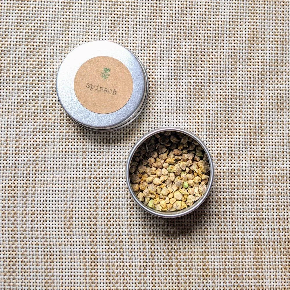 Organic Spinach Seeds