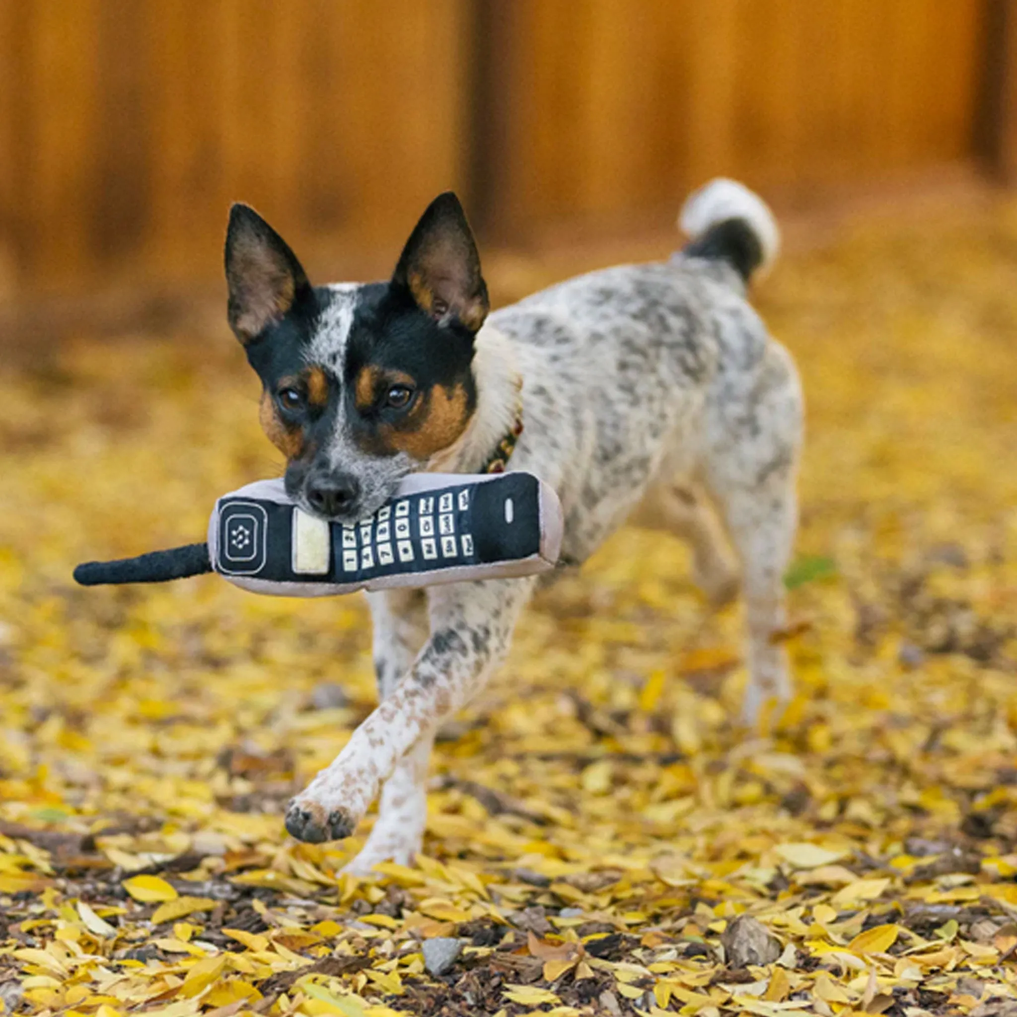 P.L.A.Y. Brick Phone Dog Toy - Grey