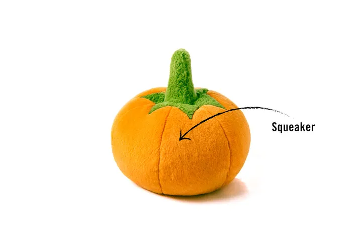 P.L.A.Y. Garden Fresh Pumpkin Fall Toy for Dogs
