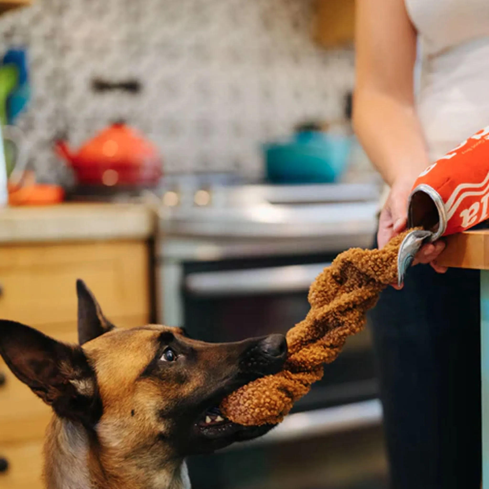 P.L.A.Y. Good Boy Cola Dog Toy