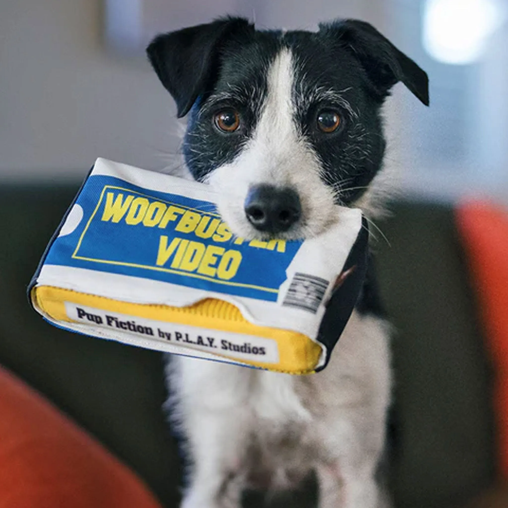 P.L.A.Y. Woofbuster Dog Toy - Blue & Yellow