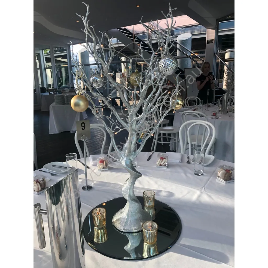Silver manzanita tree